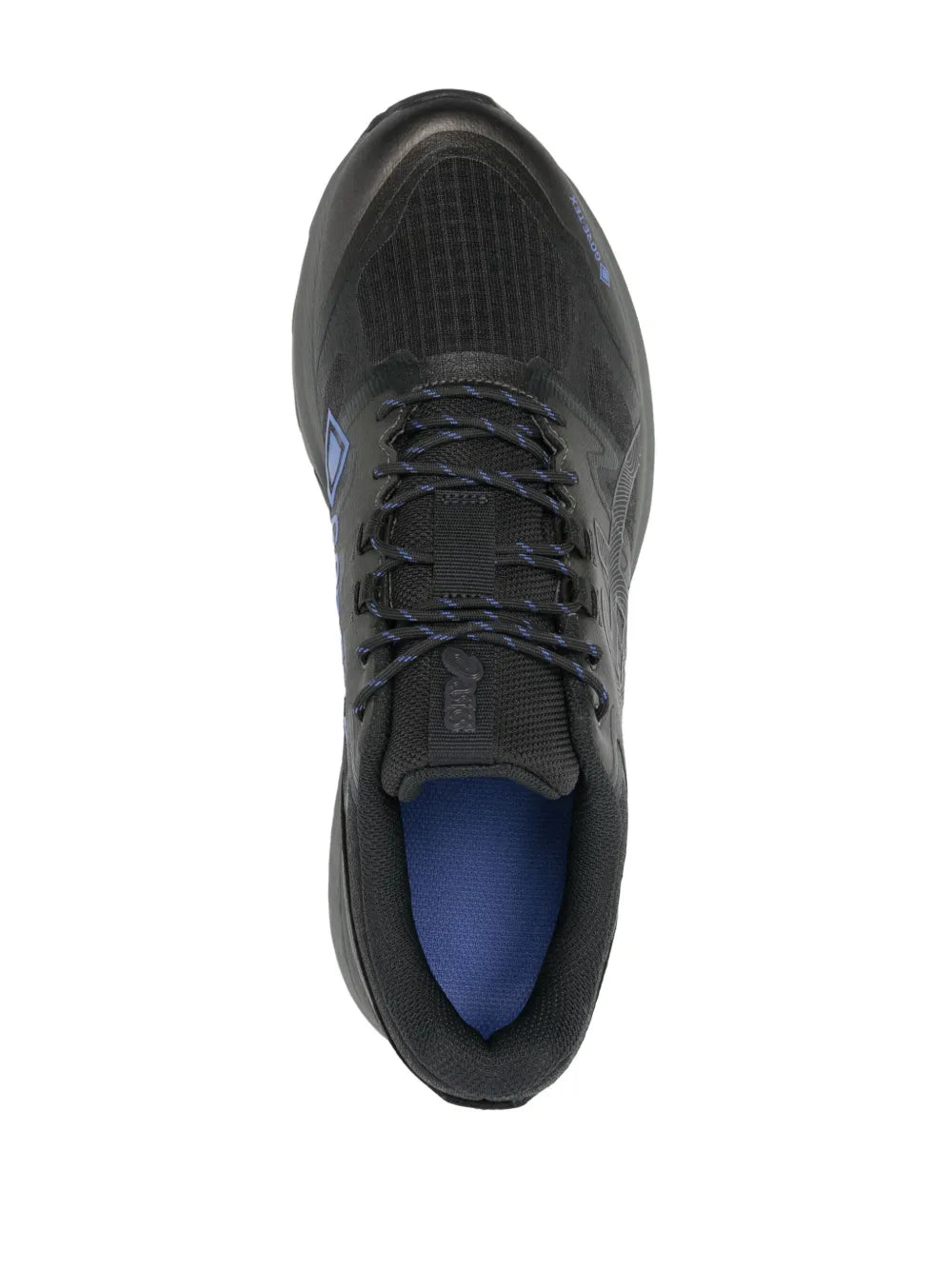 ASICS Gel-Terrain GTX sneakers, dark gray, laced blue-lined collar, textured mesh