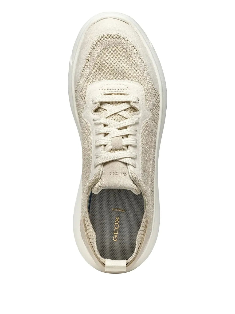 Beige knitted sneaker with white laces and Geox logo on inner lining