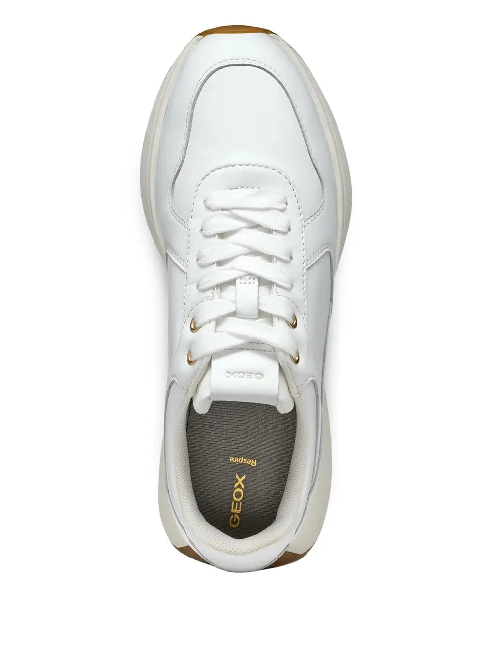 White leather lace-up sneaker with Geox logo on the tongue and padded collar