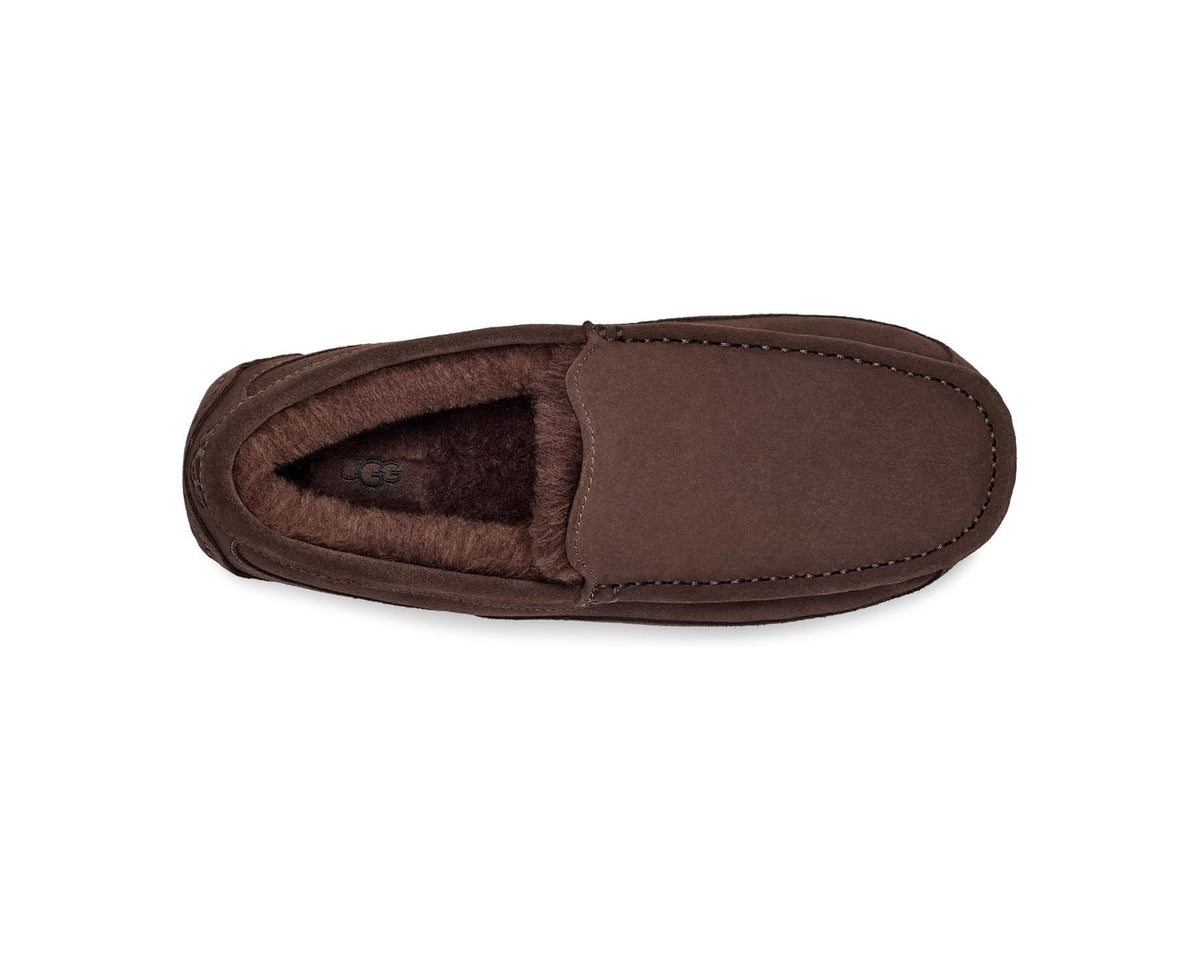 Men's UGG Ascot loafer showing open collar and plush shearling lining