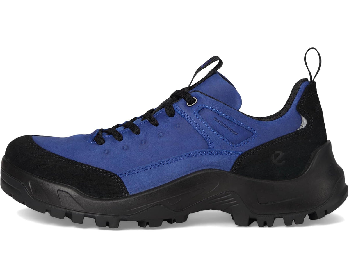 Blue and black lace-up hiking shoe with padded collar and rugged tread sole